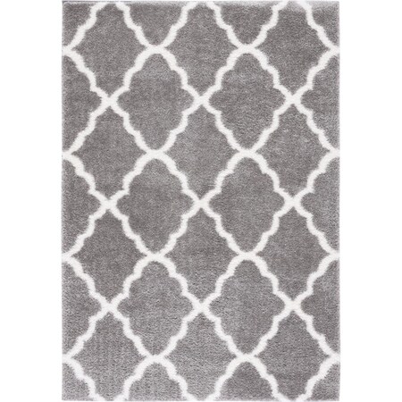 Safavieh 5 x 7 ft. Tahoe Shag Contemporary Rectangle Area Rug; Grey & White THO675F-5